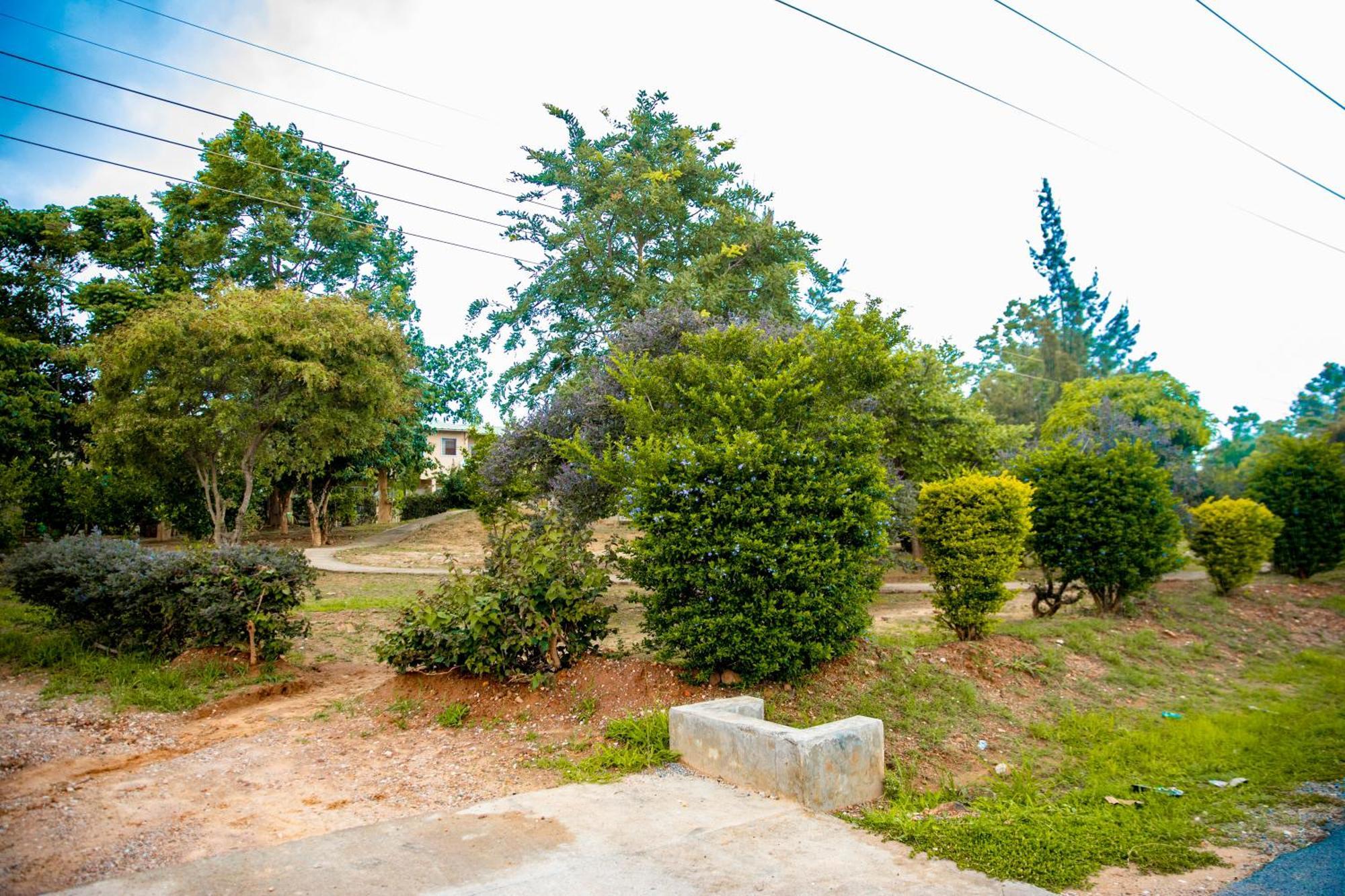 Sanctuary Aparthotel-Ac-Garden- Solar-Wi-Fi -Firepit-Park-Carport Lusaka Exterior foto